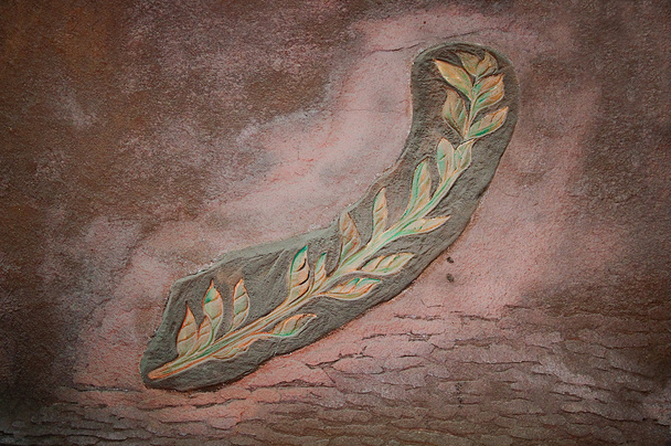 The Model of fossil leaf - Photo, Image