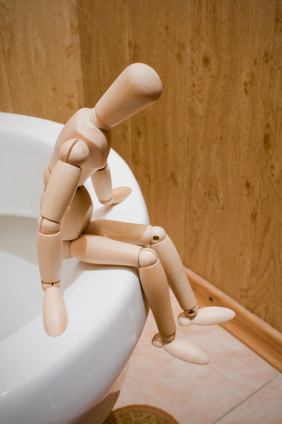 Mannequin in Lavatory - Photo, Image