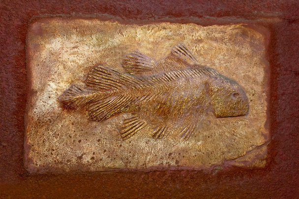 The Model fossil of ancient fish - Photo, Image