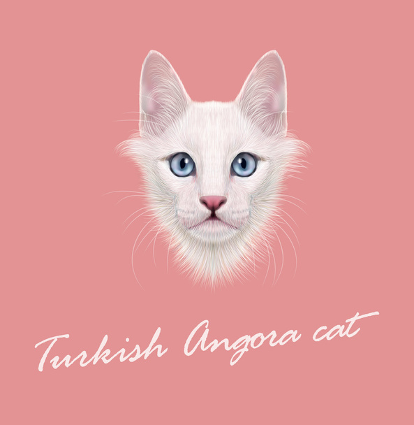 Vector Illustrated Portrait of Turkish Angora cat.  - Vector, Image