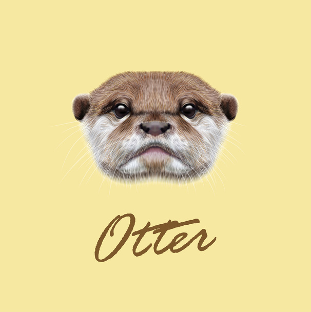 Vector geïllustreerde portret van Otter. - Vector, afbeelding
