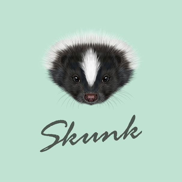 Vector Illustrated Portrait of Skunk.  - Vector, Image