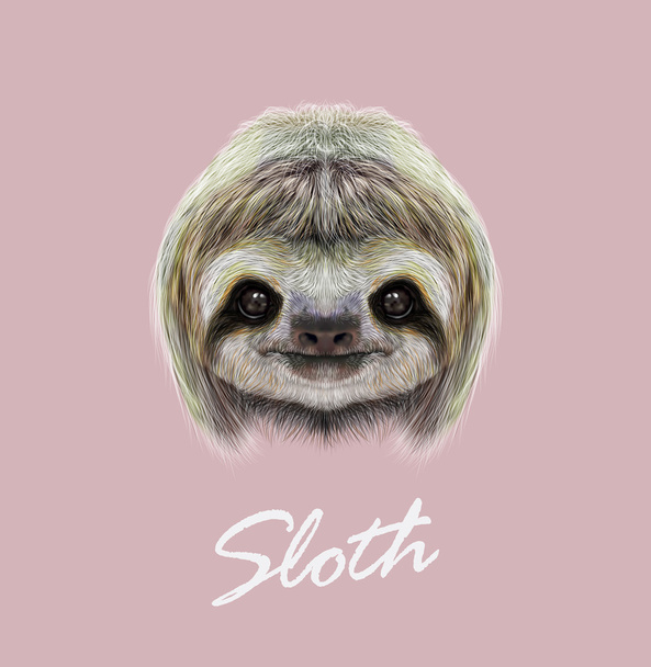 Vector Illustrated Portrait of Sloth.  - Vector, Image
