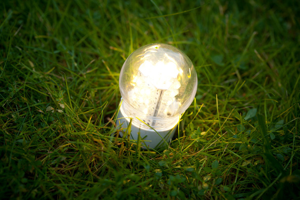 lampa LED na trawie - Zdjęcie, obraz