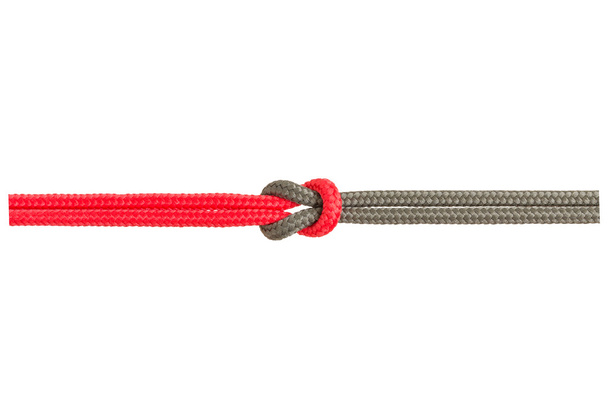 Different ropes tied  isolate on white with clipping path - Photo, Image