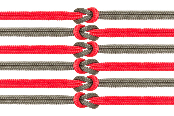 Diferentes cuerdas atadas aisladas sobre fondo blanco
 - Foto, Imagen