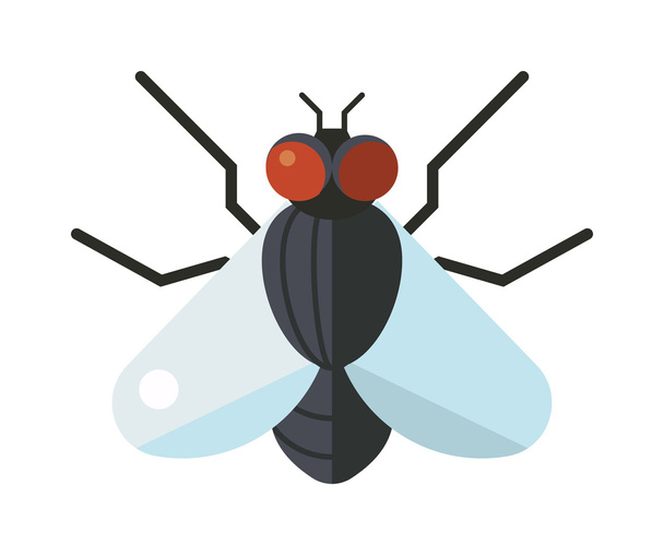 Bluebottle Fly insect soorten Calliphora vomitoria bug dierlijke natuur macro pest met grote ogen harige benen platte vector. - Vector, afbeelding