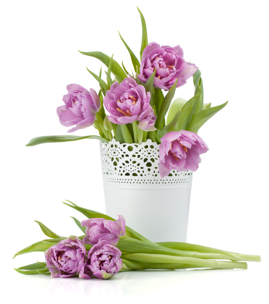 roze tulpen - Foto, afbeelding