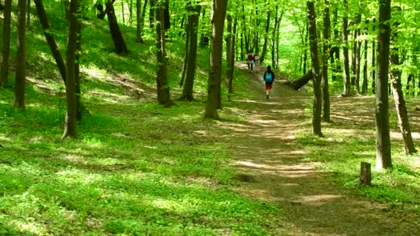 Nuoret kävelevät rehevässä vihreässä kevätmetsässä
 - Materiaali, video