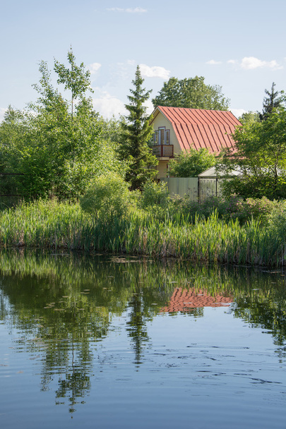 Summer houses near the pond - Fotoğraf, Görsel
