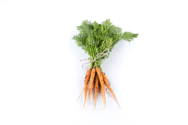freshly picked carrots  - Фото, зображення