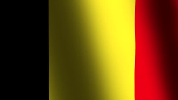 Flag of Belgium waving - Footage, Video