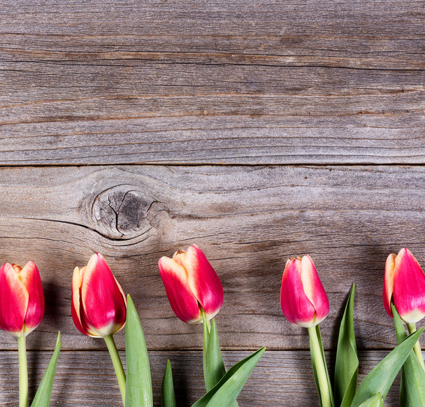 Lovely tulips on rustic wood - Foto, Imagen