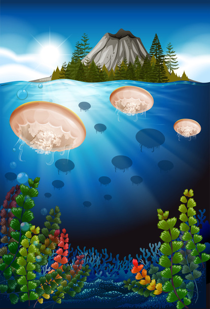 Jellyfish swimming under the sea - Vector, Image