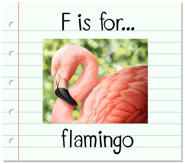 Літера F для фламінго
 - Вектор, зображення