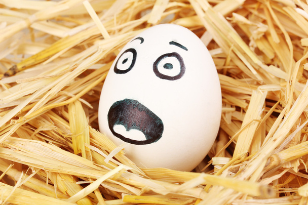 White egg with funny face in straw - Foto, imagen