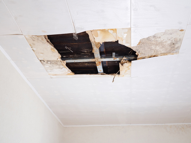 Water damaged ceiling . - Photo, Image