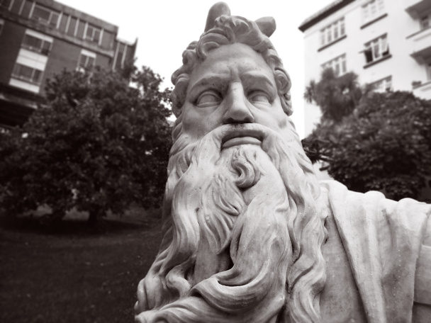 Портрет статуи Моисея
  - Фото, изображение