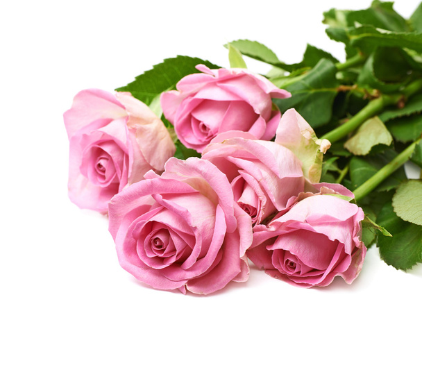 Pile of pink roses isolated - Foto, imagen