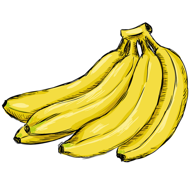 Ramo amarillo de plátanos
 - Vector, Imagen