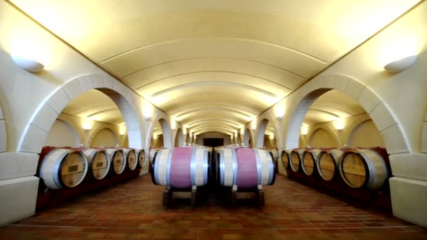 Plan long d'une cave à vin avec barils de bois et arcs. Bordeaux, France
. - Séquence, vidéo