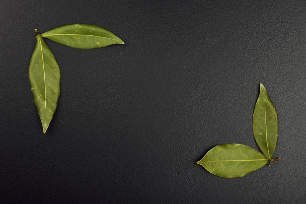Каркас лаврового листя на чорній дошці
 - Фото, зображення
