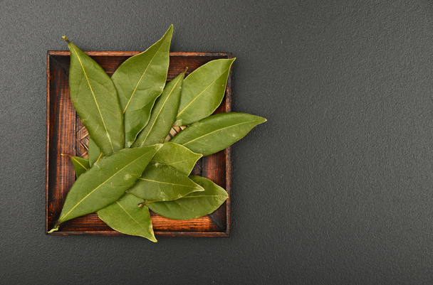 Assiette de feuilles de laurier sur tableau noir
 - Photo, image