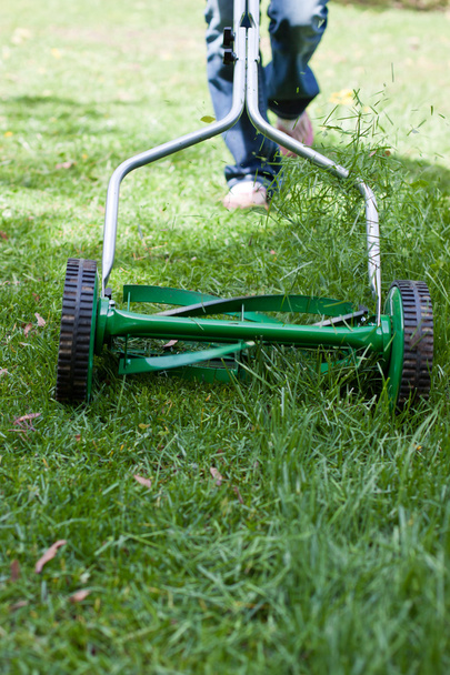 Cortando o gramado
 - Foto, Imagem