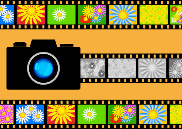 Camera with films - Vector, Image