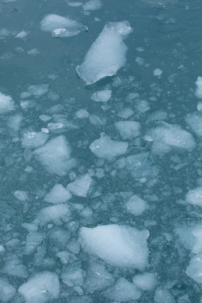 hielo glacial flotante
 - Foto, imagen