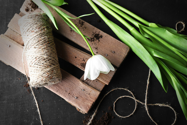 White tulip with rope - Φωτογραφία, εικόνα
