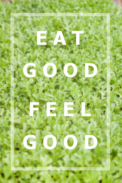 eat good feel good inspirierendes Zitat - Foto, Bild