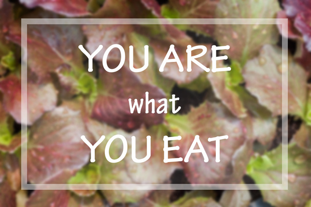You are what you eat in spirational quote - Photo, Image