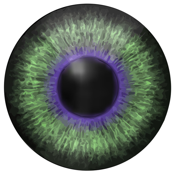 Ojo iris vector textura
 - Vector, Imagen