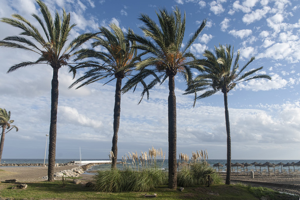 Beaches of the Costa del Sol, Marbella - Photo, Image
