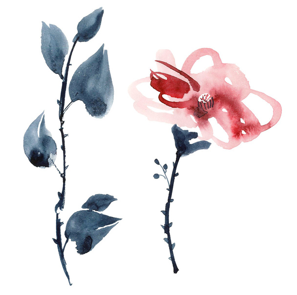 rode bloem illustratie - Foto, afbeelding