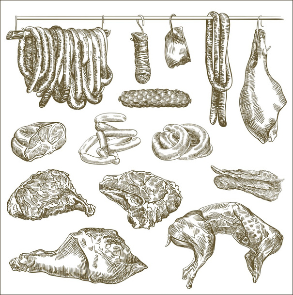 natural meat and products made from it - Vector, afbeelding