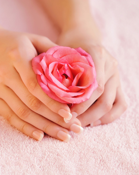 Detailní obrázek růžové francouzské manikúry s růží - Fotografie, Obrázek