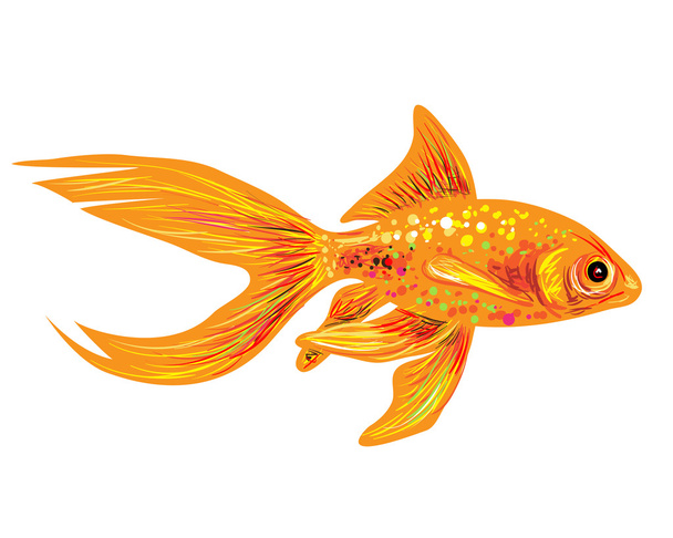 abstract Gold fish - Vettoriali, immagini