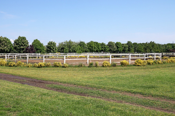 белый забор и пейзаж сельской дороги
 - Фото, изображение