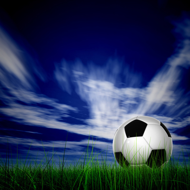 pelota de fútbol en hierba de campo fresco
 - Foto, Imagen