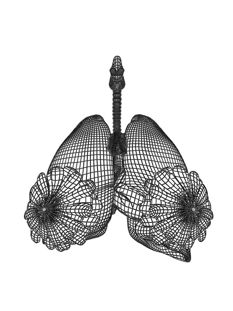 メッシュ呼吸器系  - 写真・画像