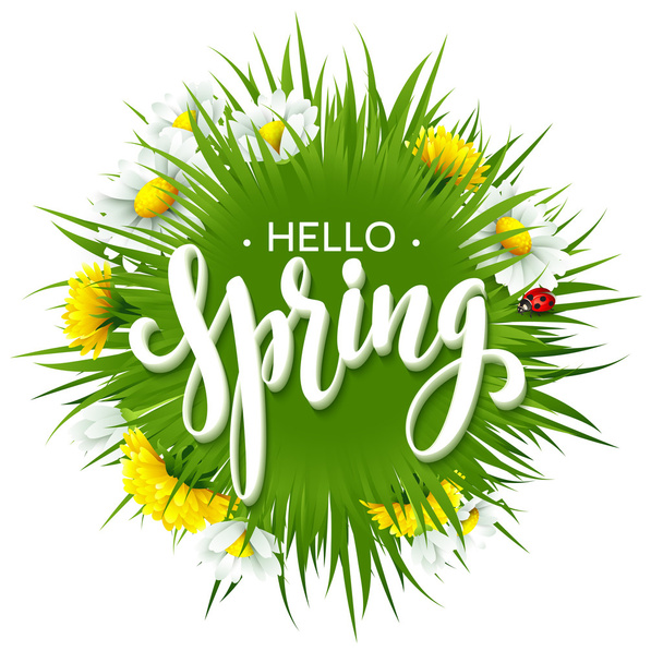 Fresh spring background with grass, dandelions and daisies. Vector illustration - Vector, Image