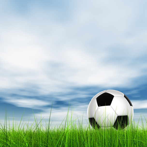 jalkapallo pallo tuoreen kentän ruoho
 - Valokuva, kuva