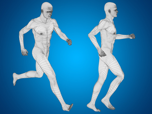  menschliche männliche Anatomie-Körper - Foto, Bild