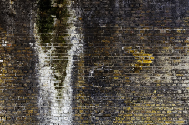 Grunge tuğla duvar - Fotoğraf, Görsel