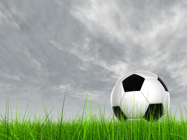ballon de football dans l'herbe de champ frais
 - Photo, image