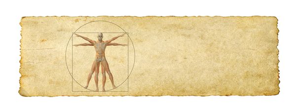 Cuerpo humano vitruviano
  - Foto, imagen