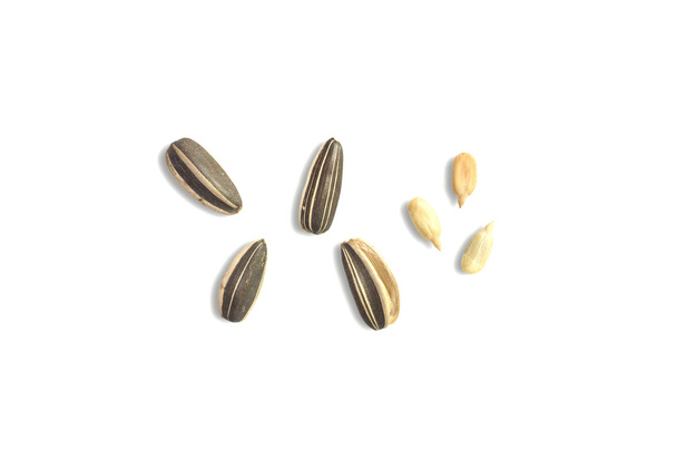Sunflower seeds on white background. - Photo, Image