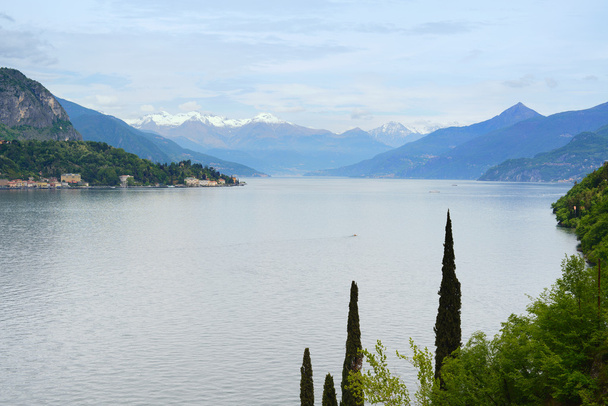 Como Lake landscape. Trees, water and mountains. Italy, Europe. - Фото, изображение